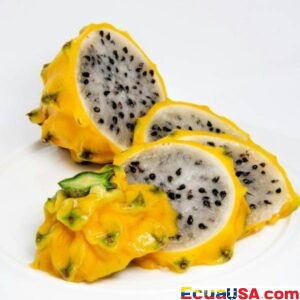 “A Fruitful Dawn: Morona Santiago Opens Its First Pitahaya Phytosanitary Center”