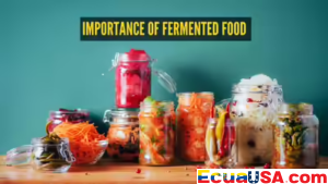 India Ve un Renacer de los Alimentos Fermentados Impulsado por la Salud en 2025