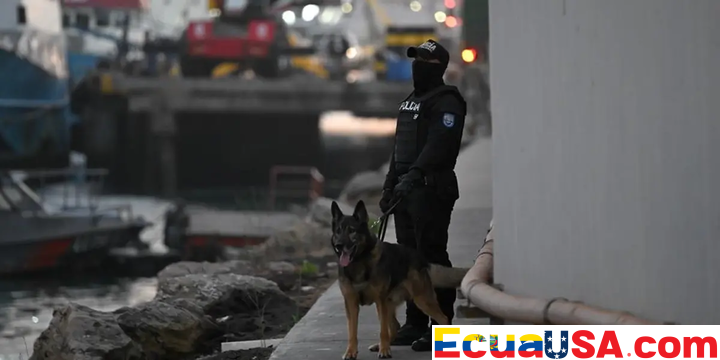 Alias “Peluche”: The Soft Name Behind a Hard Criminal Machine