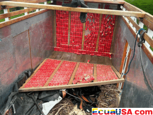 The Truck That Raised the Alarm: Authorities Seize High-Powered Explosives in Major Security Operation