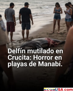 ¡Horror en las playas de Manabí! Delfín mutilado en Crucita: persiguen a verdugos y a policía que miró para otro lado