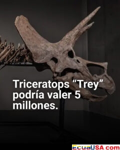 ¡Subasta millonaria del Triceratops 'Trey'! El colosal dinosaurio de Wyoming de 66 millones de años podría alcanzar 5 millones de dólares