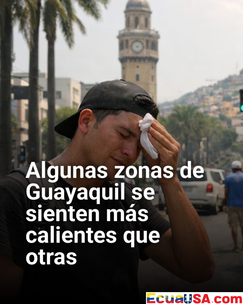 Guayaquil bajo calor extremo: por qué algunos barrios se sienten más calientes que otros
