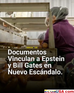 Ecuador en alerta económica: gremios rechazan IVA del 15% en pan industrial y piden diálogo urgente