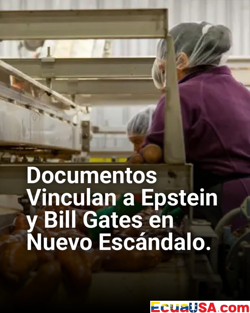Ecuador en alerta económica: gremios rechazan IVA del 15% en pan industrial y piden diálogo urgente