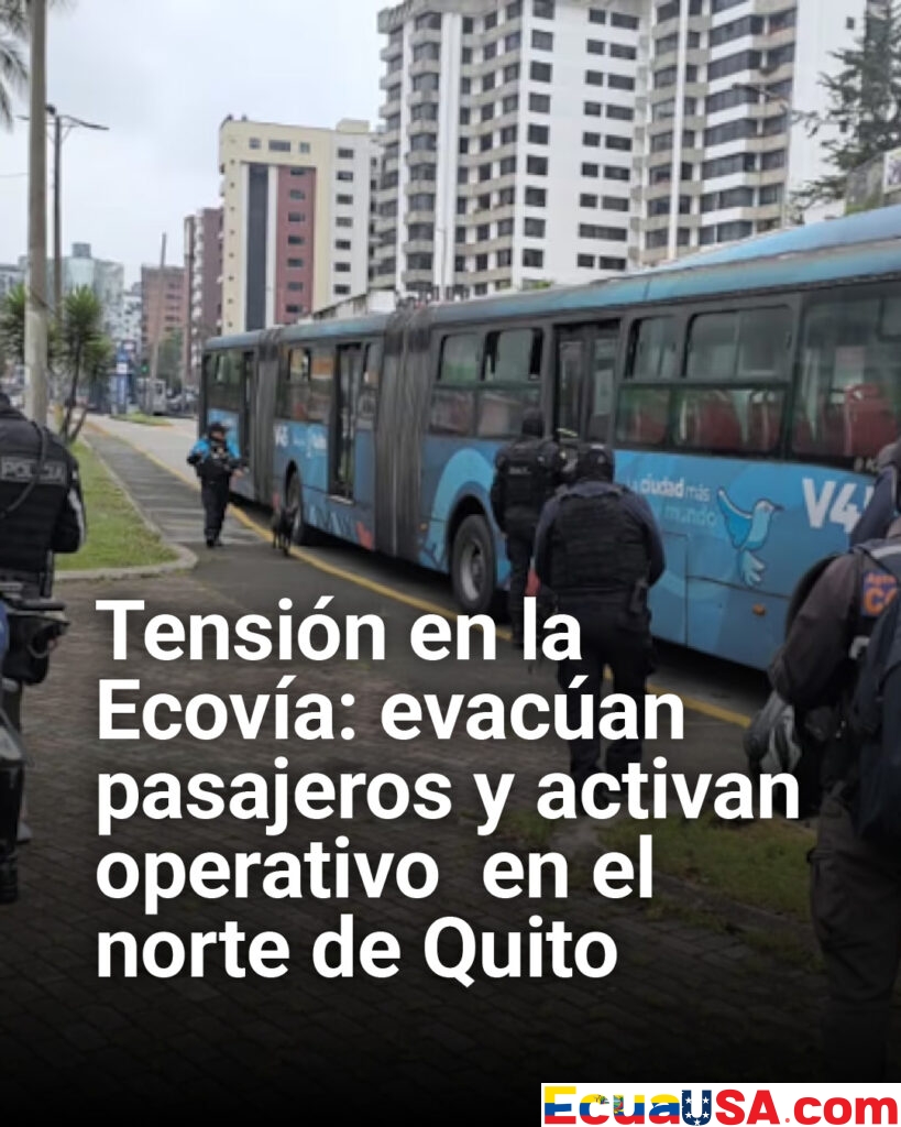 Tensión en la Ecovía: evacúan pasajeros y activan operativo por alerta de robo en el norte de Quito