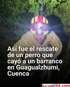 Rescate con final feliz en Cuenca: perro cae a barranco y es salvado tras intensa operación nocturna