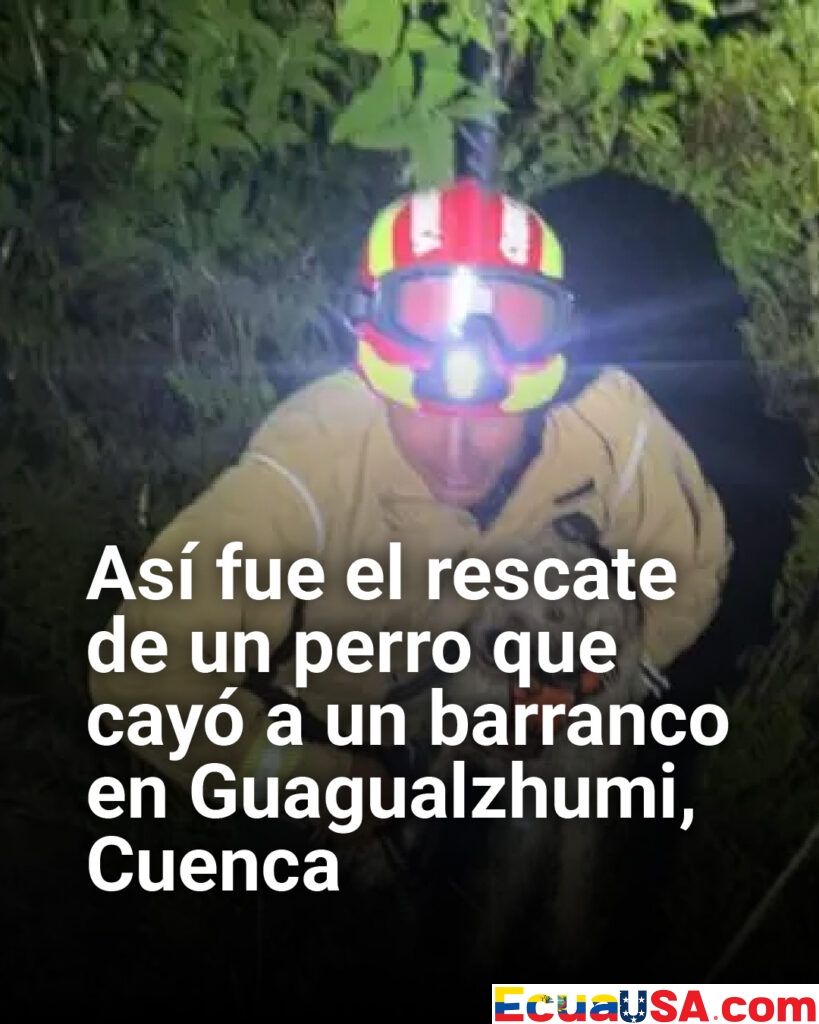 Rescate con final feliz en Cuenca: perro cae a barranco y es salvado tras intensa operación nocturna
