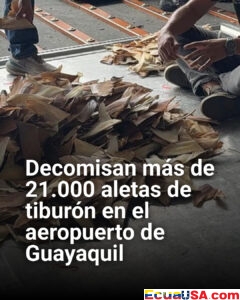 Golpe al tráfico ilegal: incautan más de 21.000 aletas de tiburón en el aeropuerto de Guayaquil
