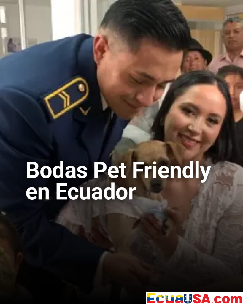 El amor también es ‘Pet Friendly’: mascotas ya pueden ser testigos simbólicos en bodas del Registro Civil en Ecuador