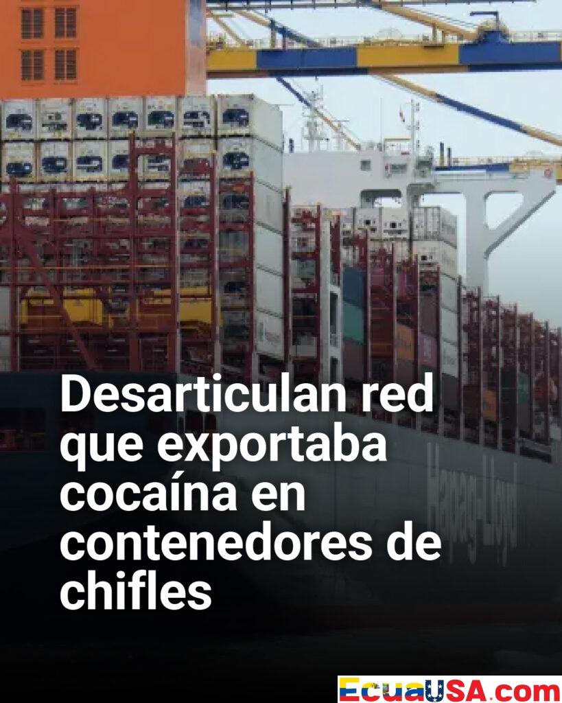 Golpe millonario al narcotráfico: desmantelan red que enviaba cocaína oculta en contenedores de chifles